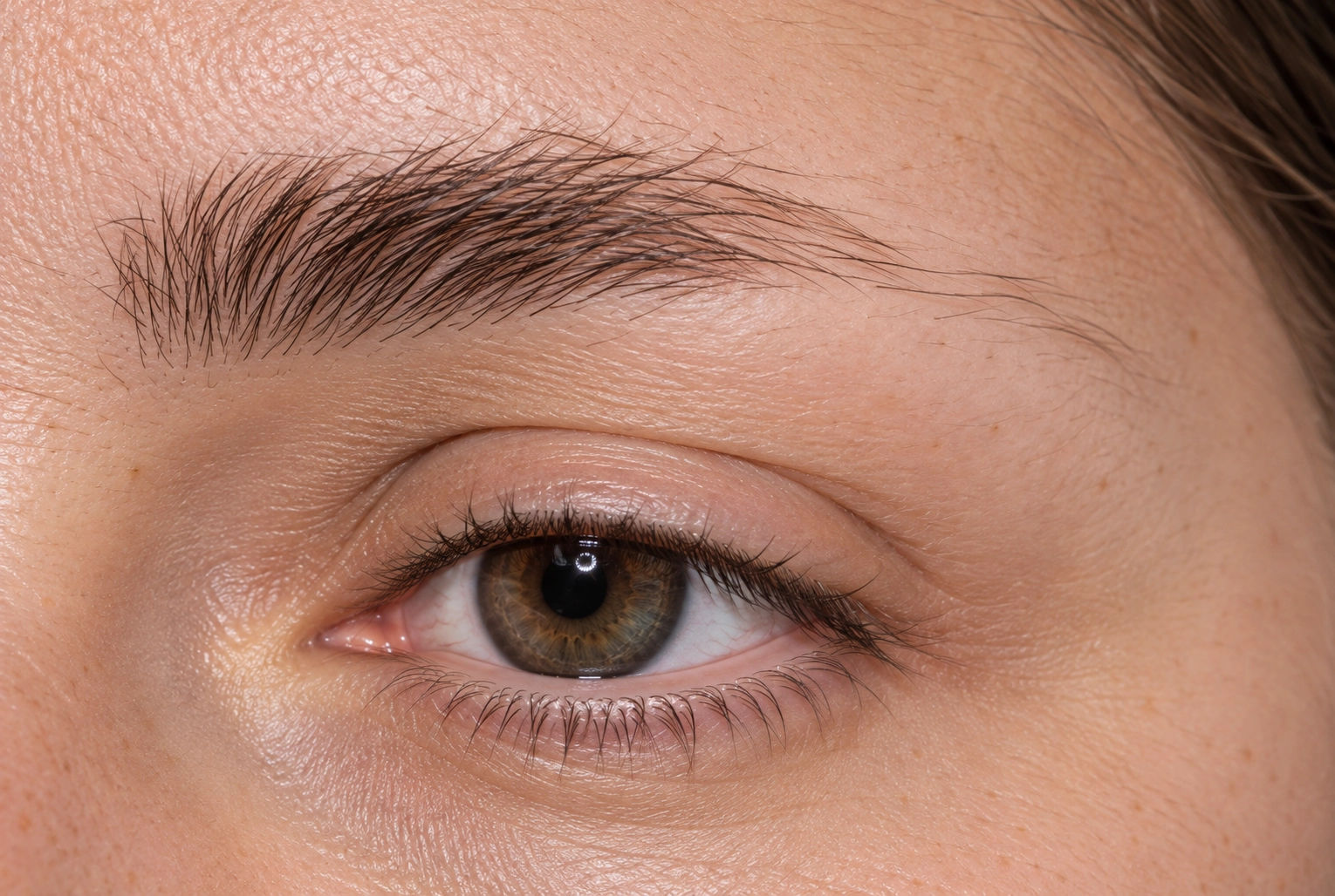 Close-up of an eyebrow with a fuller inner brow and sparse hairs in the outer third.